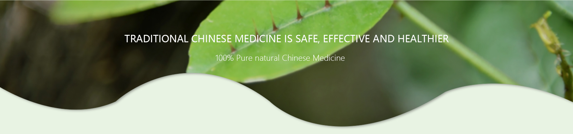 MG游戏官网 - 首页