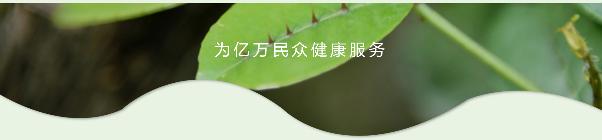 MG游戏官网 - 首页