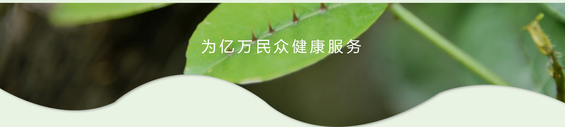 MG游戏官网 - 首页