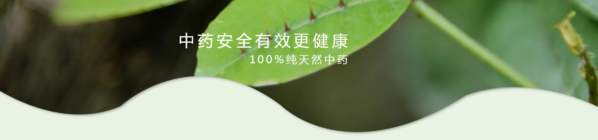 MG游戏官网 - 首页