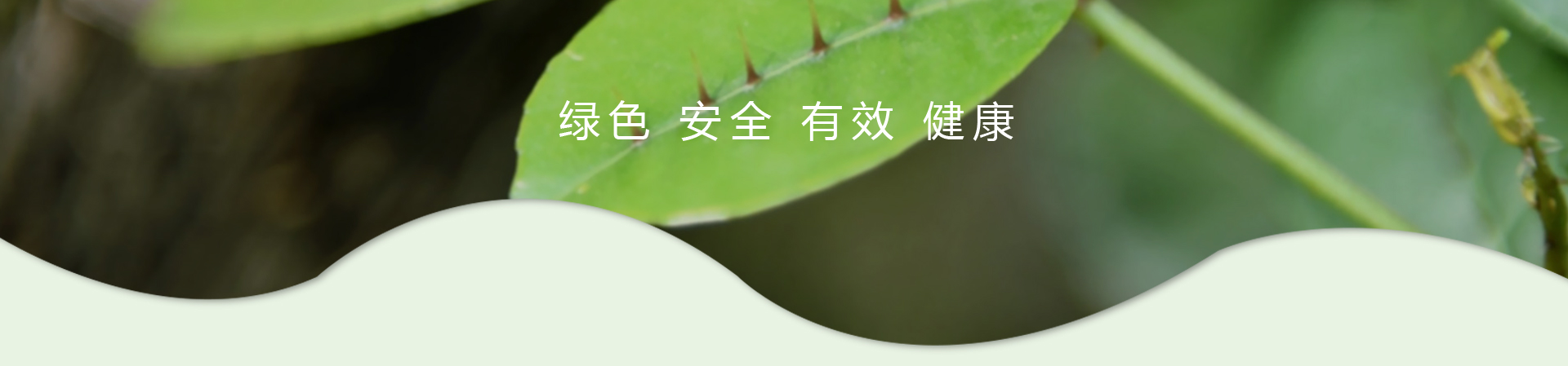 MG游戏官网 - 首页
