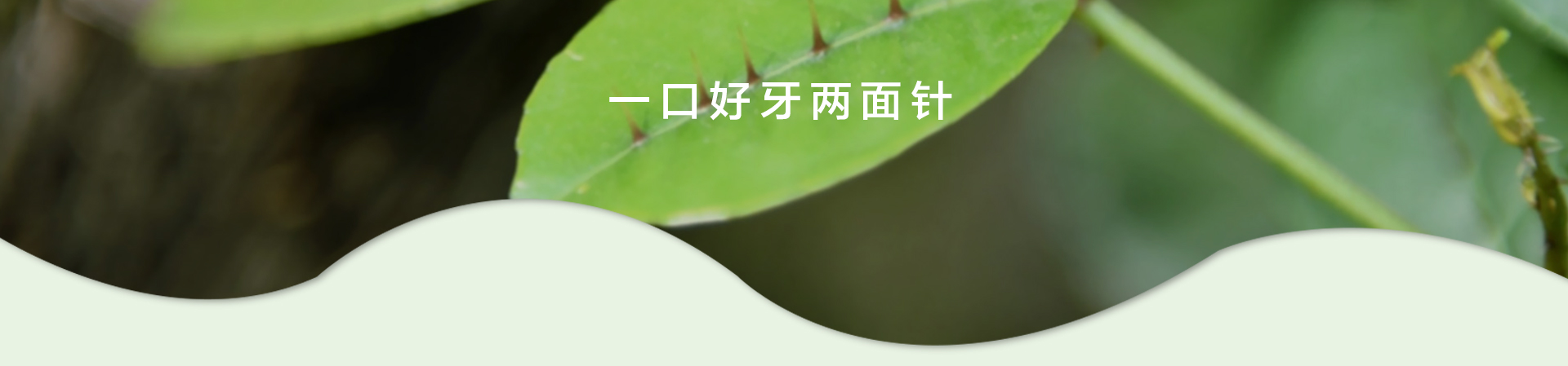 MG游戏官网 - 首页